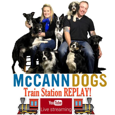 Their videos are professionally made and well-explained in a manner that makes it easy to understand, with demonstrations on how to perform the various dog training topics they cover in the videos. . Mc cann dog training